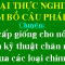 TRẠI THỰC NGHIỆM CHIM BỒ CÂU PHÁP VN1